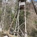 v ključih skozi gozd mimo nove lovske preže
