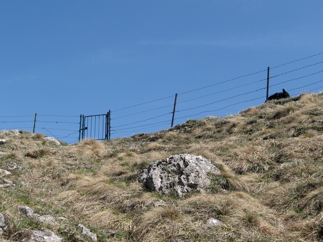 Izstop pri vratcih nasproti kapelice