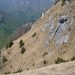 in pogled nazaj