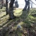 levo vodoravno vodi dober odcep proti lovskemu razgledišču, ampak treba je desno navzgor n