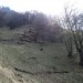 stičišče s stezico z Riglja - odcep moje današnje poti je levo od stičišča in ne desno kot