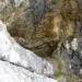 levo ob stezi s Sivnika je zanimiva skalna vdolbina, do sedaj vedno polna vode - Skledčka?