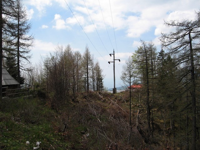 In zgornji postaji kabinske žičnice