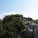 prvi vrh