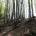 sedelce, kjer ujamem stezico in grem levo
