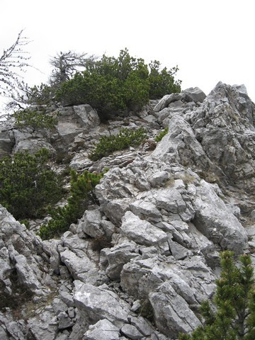 In še preboj proti zadnji glavi