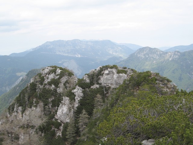 Ampak tamle naprej so še tri glave