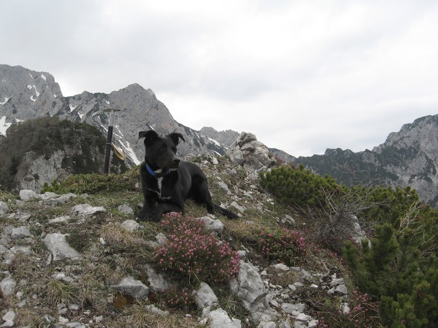Možica ima, višinomer kaže 1690m...