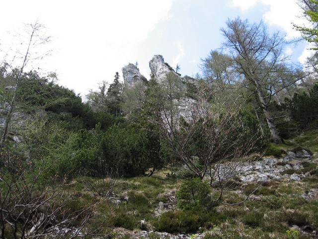 Desno nad mano