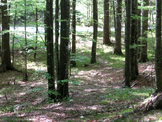 Desno poševno od koče le rahlo navzgor