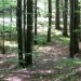 desno poševno od koče le rahlo navzgor