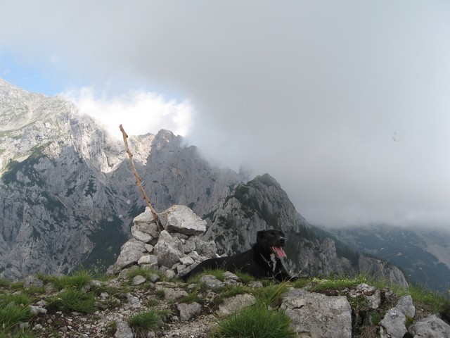 Z Dedca proti Zeleniškim