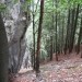 smer prihoda - porasel grebenček - levo je začetek glavne grape