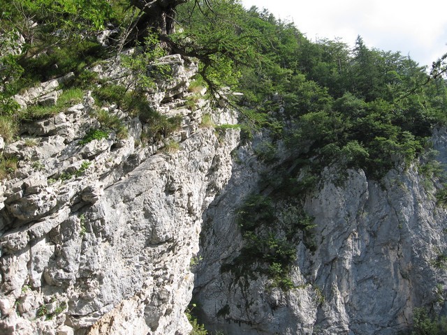 Pogled na desno