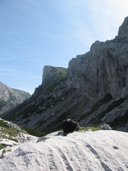 Z Lepe glave proti Lučkemu Dedcu