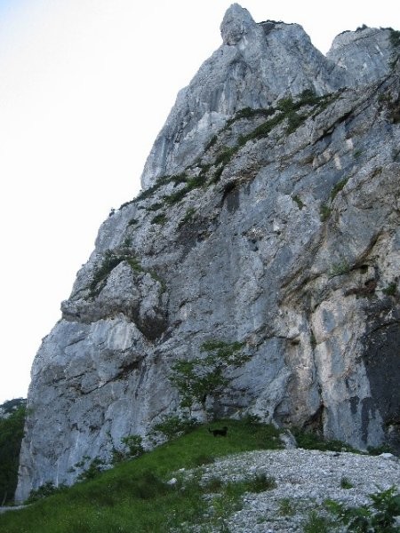Pod Vežico