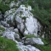 pripelje v Železni graben in na drugi strani grabna na pot , ki pride preko Skoka