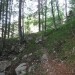 čez čas steza pripelje na poraščeno sedelce