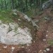 na 1000vm se levo od steze na Presedljaj, med večjimi skalnimi osamelci, odcepi skromna, n