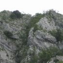 Gnezdo in greben po katerem poteka Furlanova