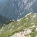 Movzina in grebenček