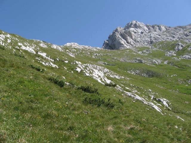 Grebenček proti Sukalniku