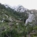 stezica na vzhodni strani Macesnovca je spet normalno prehodna
