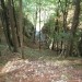steza je vse boljša, desno pod sabo pa opazuješ slapiče in tolmunčke