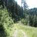 kmalu nato stopiš na cesto pod Kalom, greš 10min desno in na levi poiščeš nadaljevanje ste