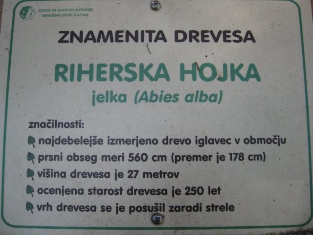 In stopiš pred tole čudo