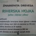 in stopiš pred tole čudo