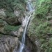 z desne strani ga vidiš še več ( tu spet lahko na lovsko pot) - vrneš se nazaj do brvi