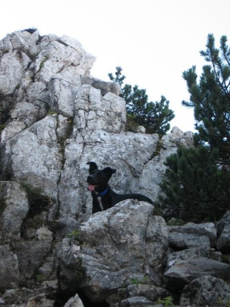 prvo skalovje na poti - steza se vzpenja na greben