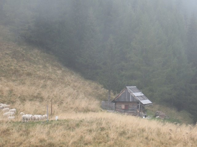 Pastirski stan na planini