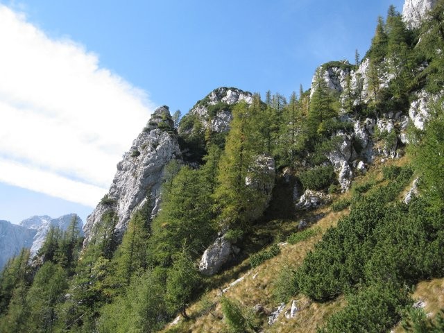 V smeri dveh izrazitih vrhov, pred poraščenim skalnim grebenčkom desno navzgor