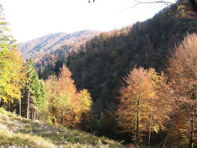 dolina Korošice v popoldanskem soncu