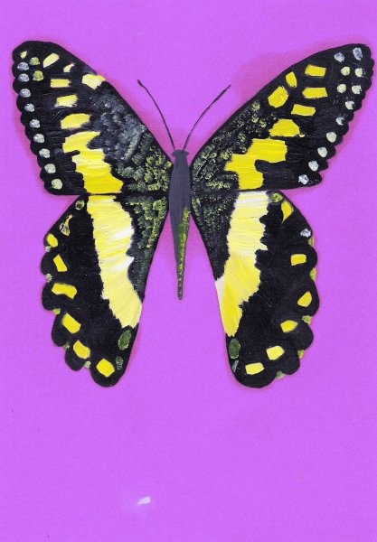 Slike-metulji - foto povečava