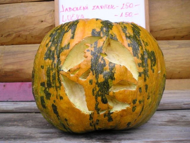 Kostanjev piknik 08.10.2005 - foto