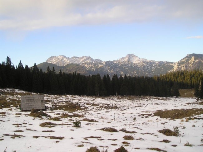 Utrinki iz Velike Planine - foto povečava