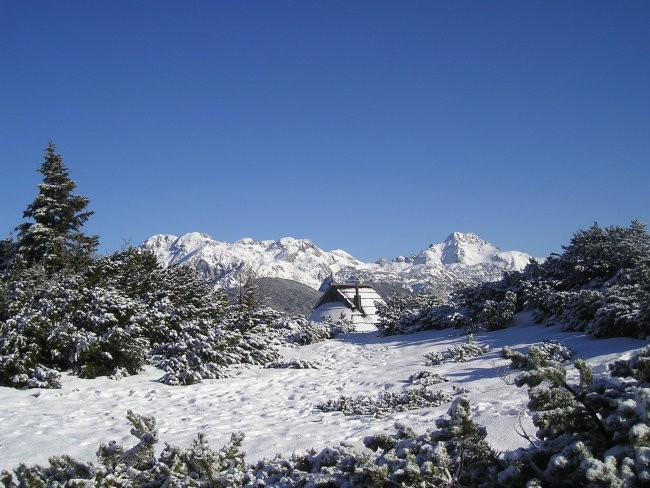 Velika Planina (april 2005) - foto povečava