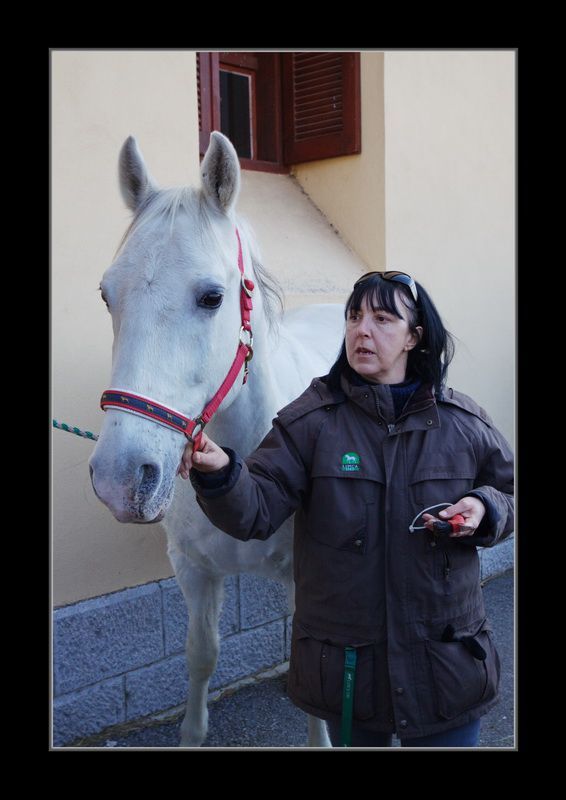 Zimski dan odprtih vrat v Lipici - foto povečava