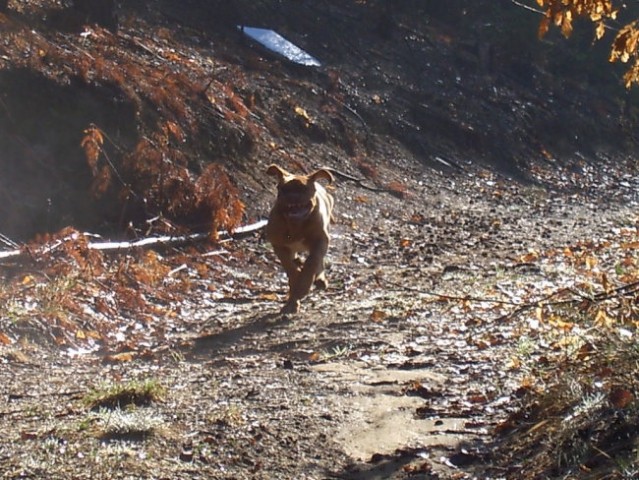 Pacco, 5 mesecev - foto