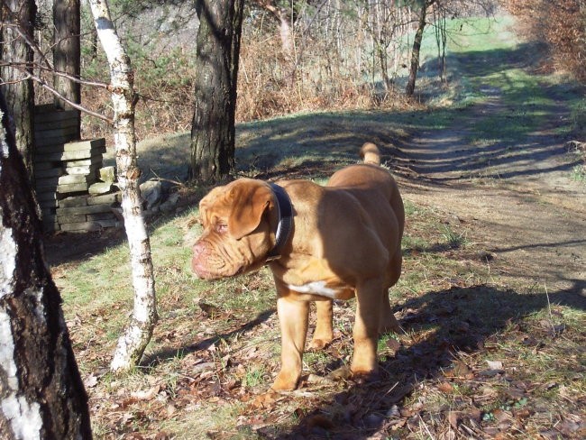 Pacco, 5 mesecev - foto povečava