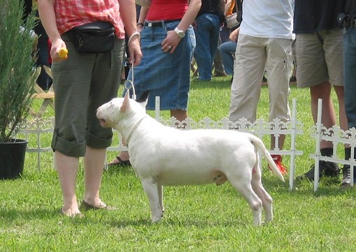 RAZSTAVE - foto povečava