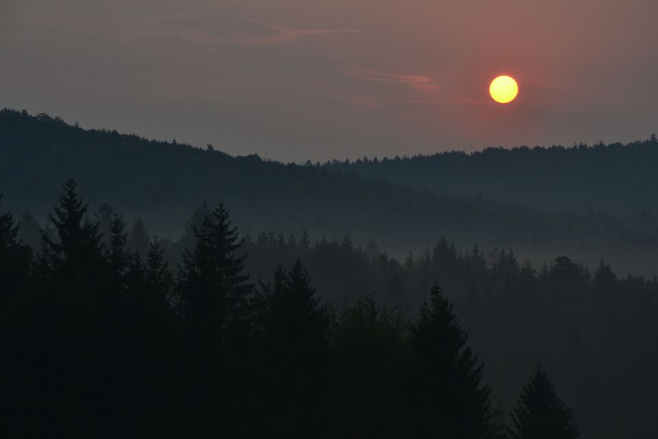 September 2012 - foto povečava