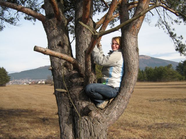 Cerkniško jezero in Rakov škocjan 02/2008 - foto