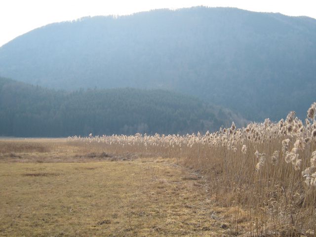 Cerkniško jezero in Rakov škocjan 02/2008 - foto