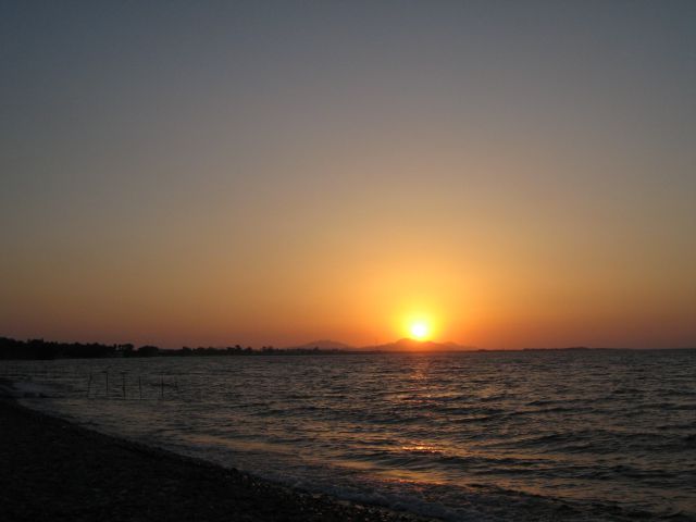 Grčija kos 07/2008 - foto