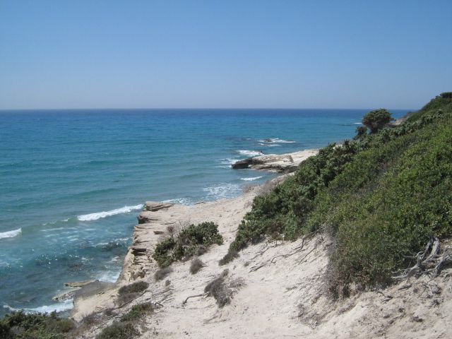 Grčija kos 07/2008 - foto