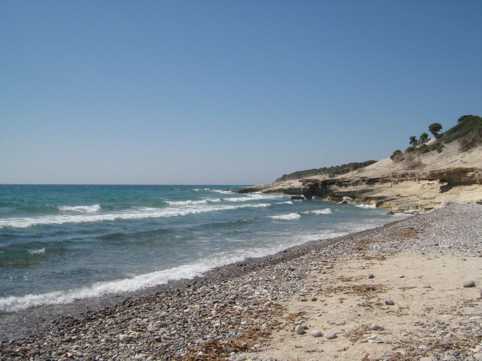 Grčija kos 07/2008 - foto povečava